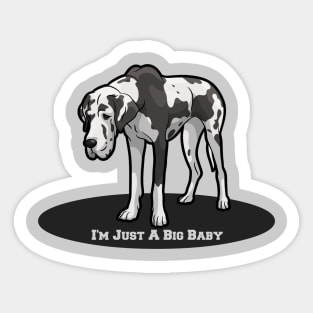Harlequin Great Dane Dog Breed I'm Just A Big Baby Sticker